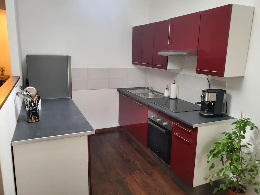 Appartement Moderne En Ville Armentières Zewnętrze zdjęcie